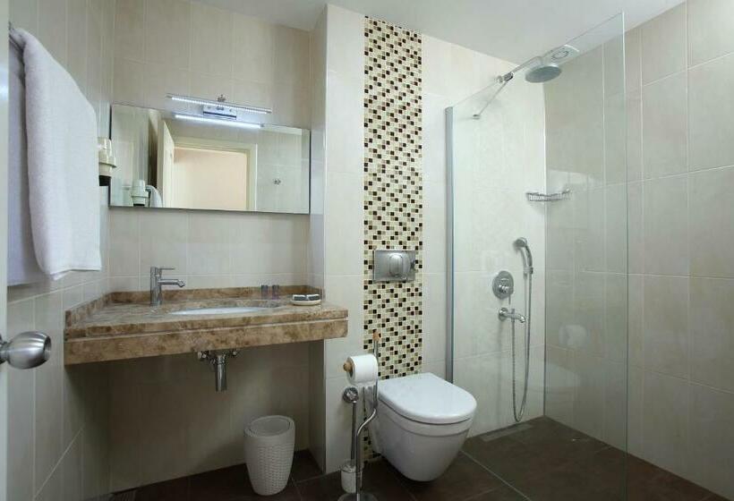 اتاق استاندارد سه نفره, Catamaran