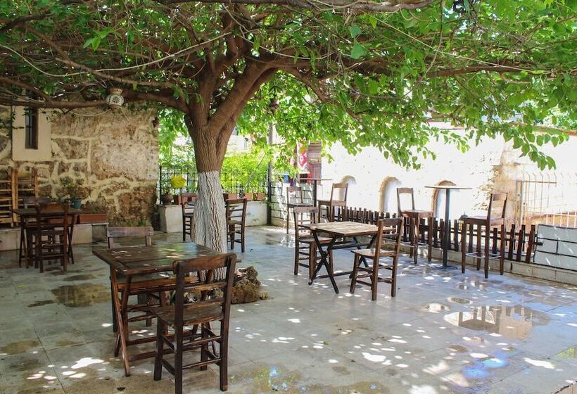 اتاق استاندارد سه نفره, White City Pension