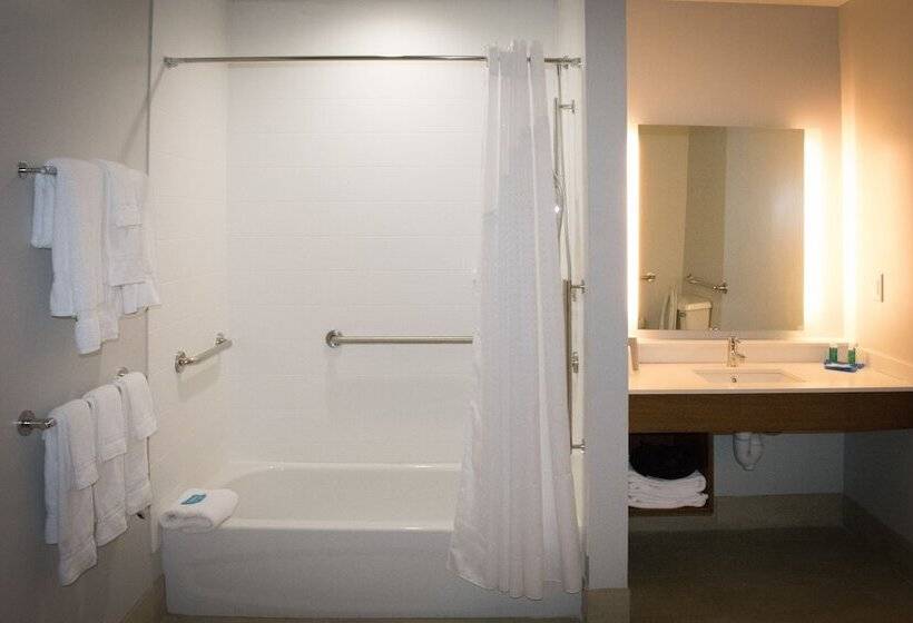 Люкс, Holiday Inn Express & Suites West Memphis, An Ihg