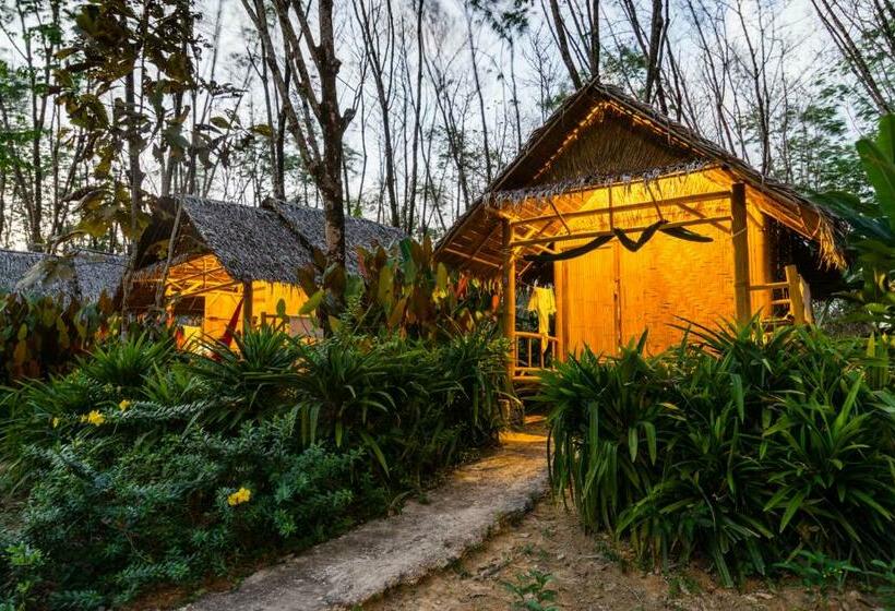Бунгало Стандарт, Rabbit Bungalow