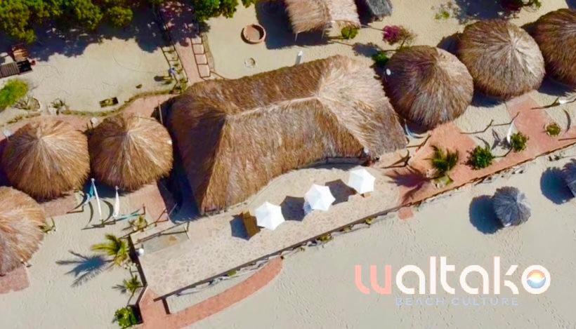 Номер Стандарт, Waltako Beach Culture