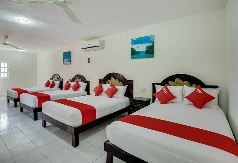 Quarto Estandar, Addy
