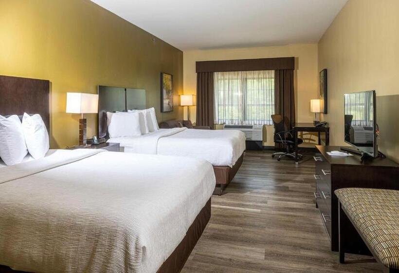 장애인을 위한 스탠다드 룸, Best Western Plus Franciscan Square Inn & Suites  Steubenville
