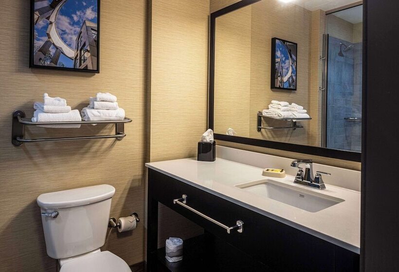 스위트, Best Western Plus Franciscan Square Inn & Suites  Steubenville