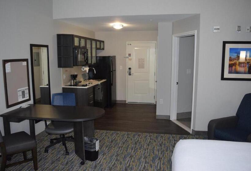 Студия Стандарт, Candlewood Suites   Nashville Metro Center, An Ihg