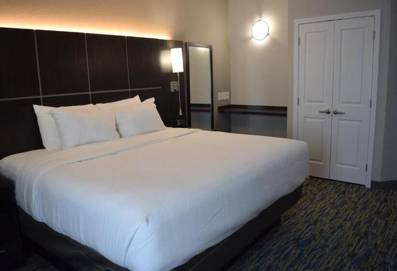 Номер Стандарт Кровать Кинг Адаптированный для Инвалидов, Candlewood Suites   Nashville Metro Center, An Ihg