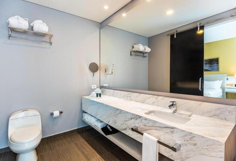 Номер Стандарт Адаптированный для Инвалидов, Crowne Plaza Barranquilla, An Ihg
