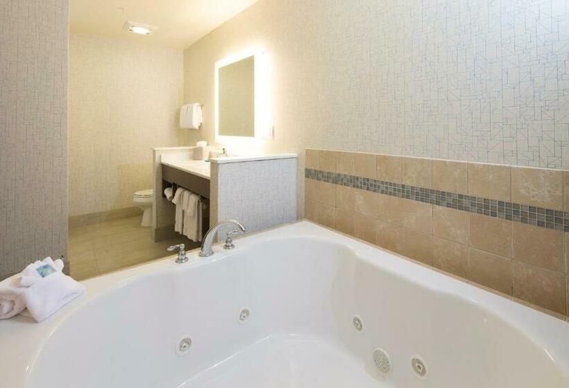 Номер Executive Кровать Кинг, Holiday Inn Express & Suites La Porte, An Ihg