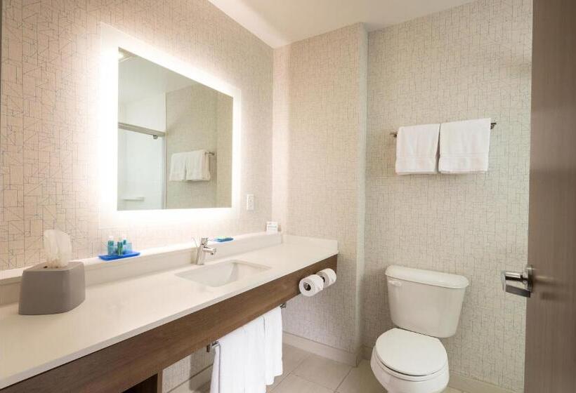Номер Стандарт Адаптированный для Инвалидов, Holiday Inn Express & Suites La Porte, An Ihg