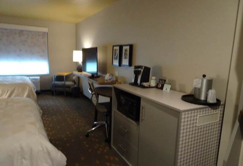 适合残疾人士使用的套间, Holiday Inn   Jonesboro, An Ihg