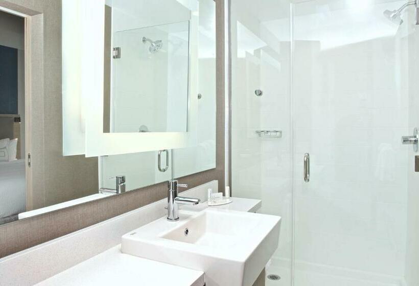 Люкс Кровать Кинг, Springhill Suites By Marriott Seattle Issaquah