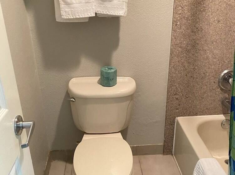 Номер Стандарт, Magnolia Inn And Suites