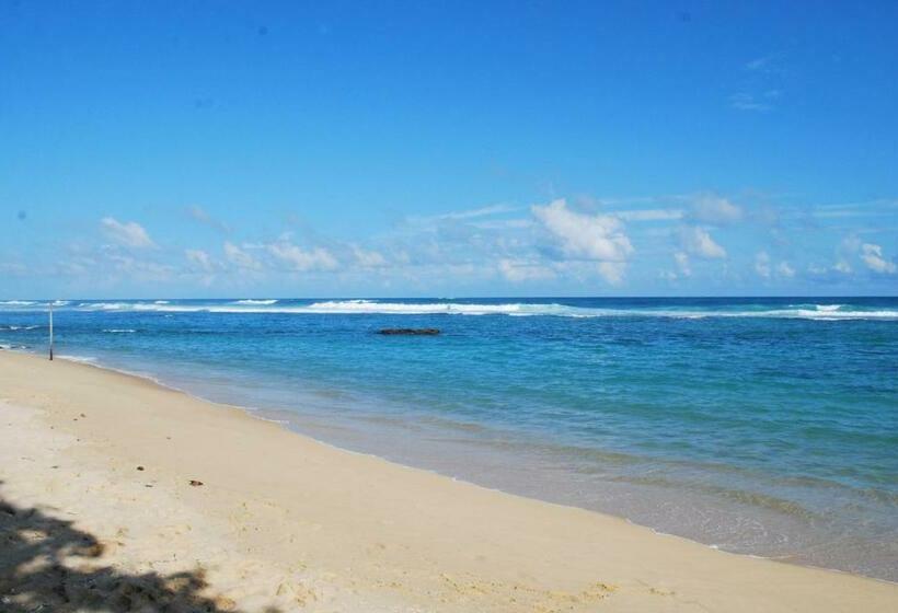Triple Room Sea View, Paradise Beach Resort & Diving School