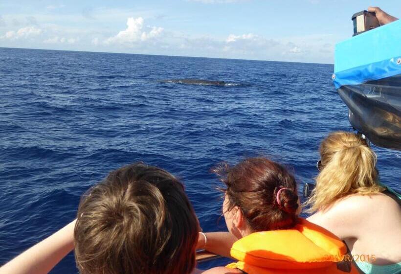 Cameră Standard cu Vedere la Mare, Paradise Beach Resort & Diving School