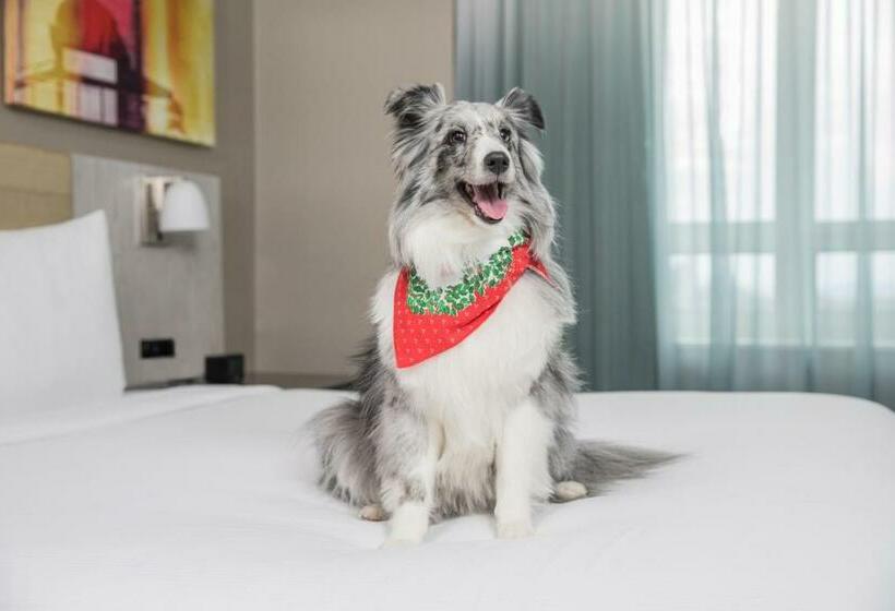高级客房, Doubletree By Hilton  New York Times Square West