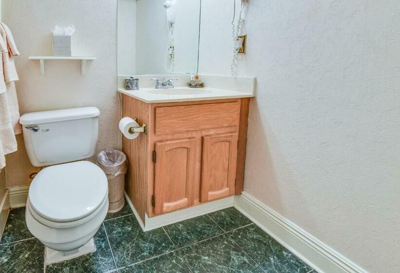 Apartamento 1 Dormitório, Plaza Suites Downtown New Orleans