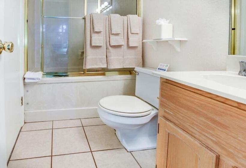 Apartamento 1 Dormitório, Plaza Suites Downtown New Orleans
