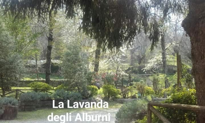 Номер Стандарт, Residenza Rurale L Antico Castagneto