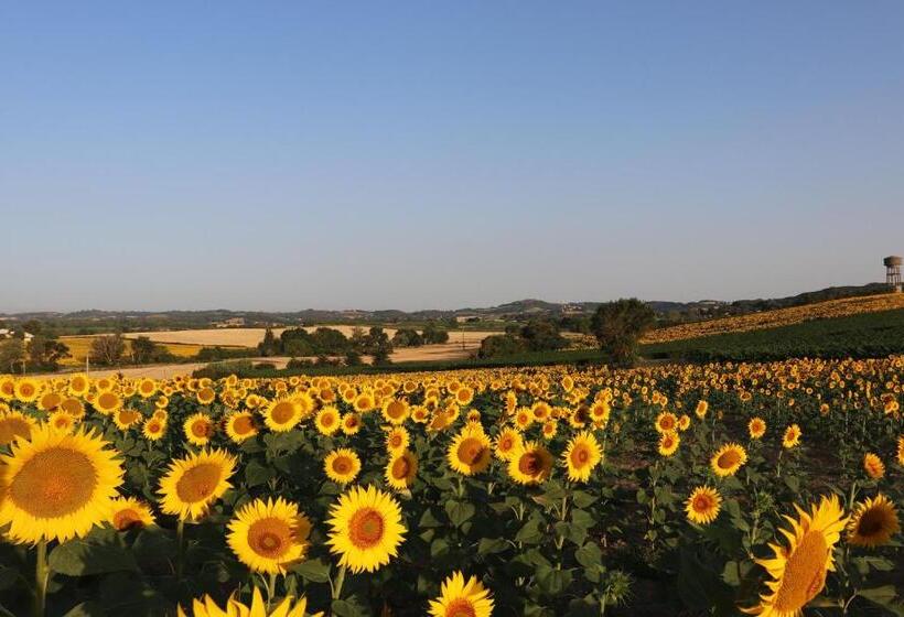Студия Стандарт, Pax Et Amor Chambres D Hôtes De Charme   Charming B&b