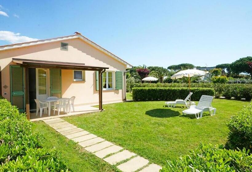 带1个卧室的公寓, Isa Residence With Swimming Pool In Mazzanta At Only 600 Meters From The Beach, Apartments With Air