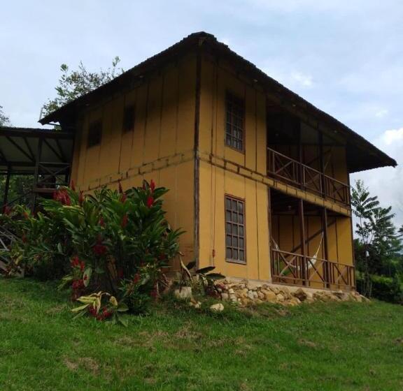 اتاق استاندارد, La Posada De Sauce