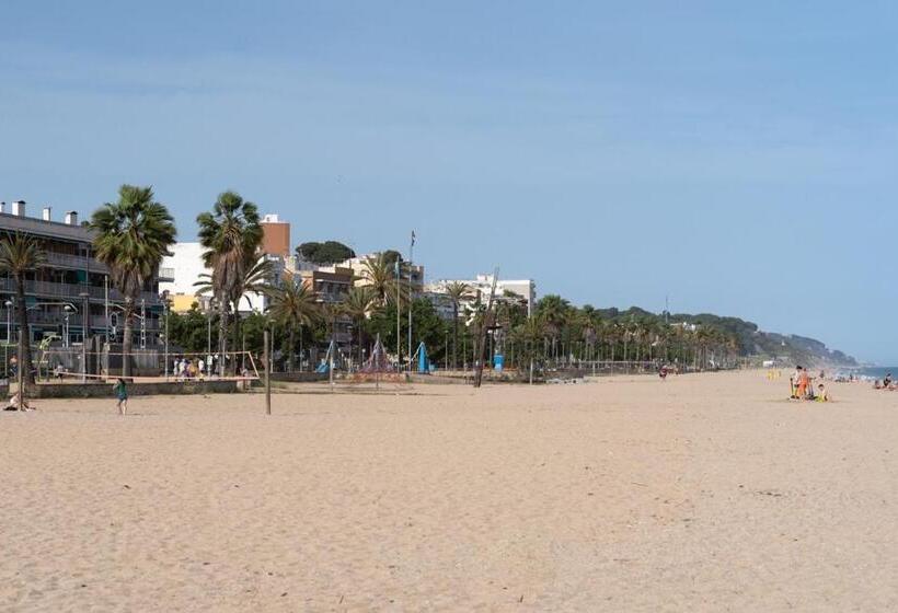 테라스 주니어 스위트, El Petit Palauet