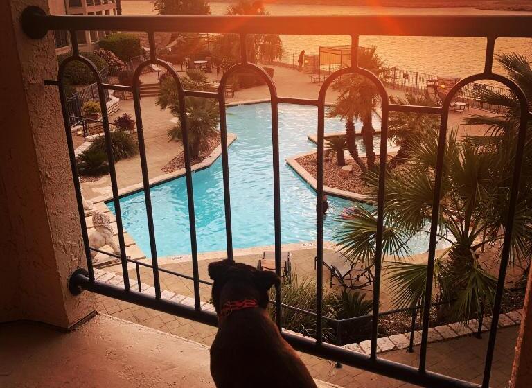 1 Bedroom Apartment Lake View, Lake Travis Stunning Waterfront, Sunset & Pool Views, Pet Friendly, Boat Ramp, Lago Vista, Texas