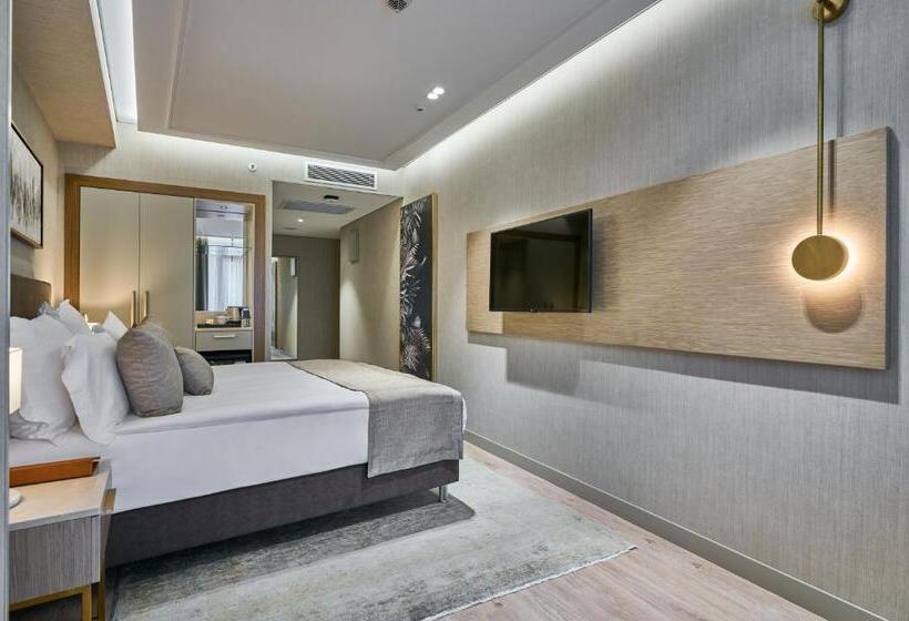 高级大房间, Rayelin Hotel Istanbul Old City