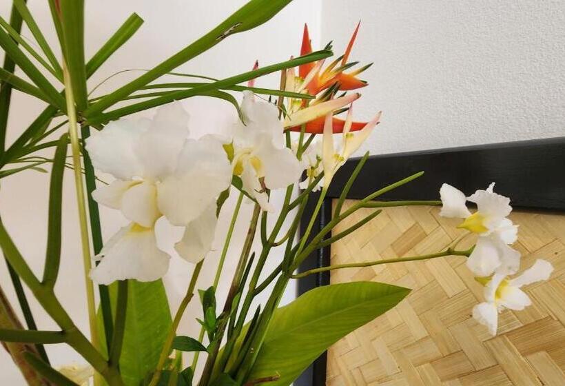سوئیت 2 خوابه, Resort Tava'e