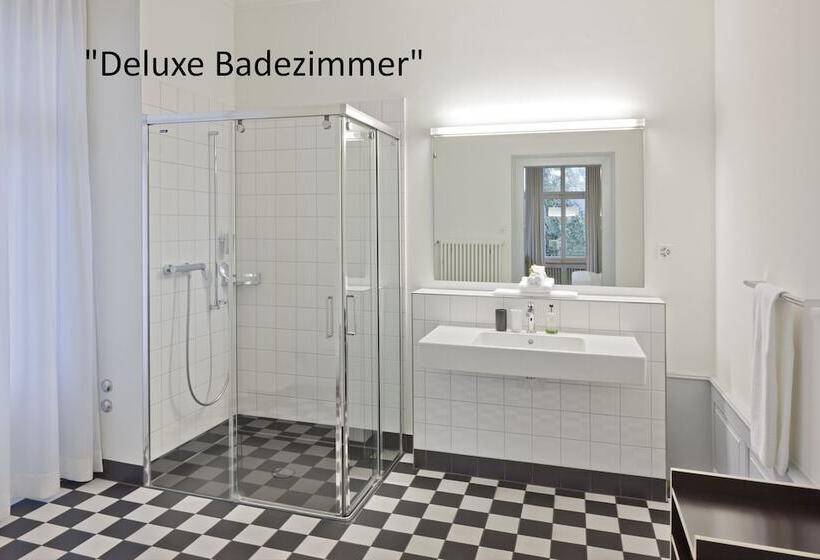 Люкс, Boutique Hotel Auberge Langenthal