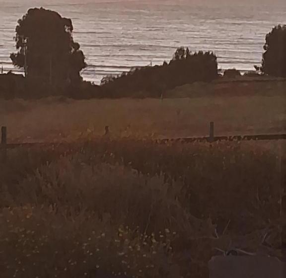 豪华海景房, Azul Petroleo