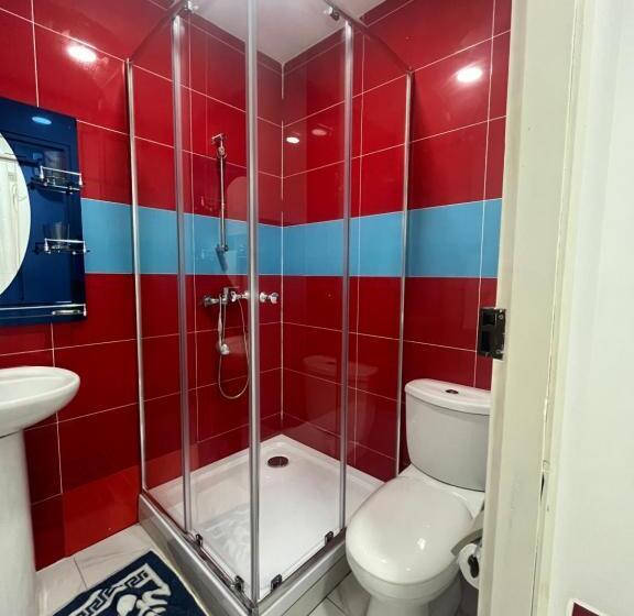آپارتمان 1 خوابه, Principal