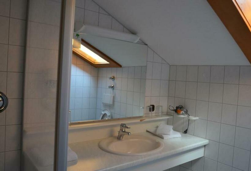 带阳台标准四人间, Alpenhotel Widderstein