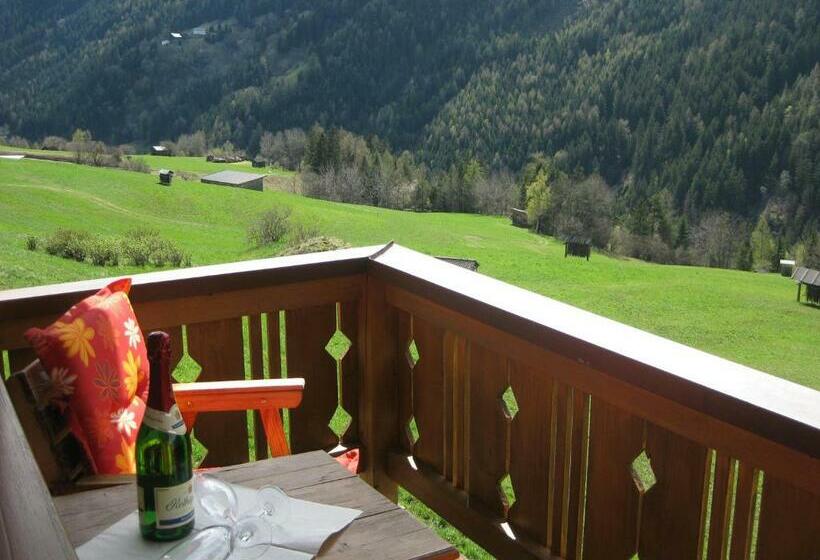 Номер Стандарт, Gästeheim Lederle