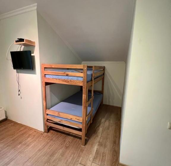اتاق استاندارد, Bakuriani Cozy Guesthouse