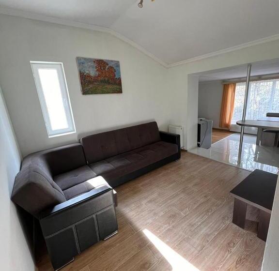 اتاق لوکس خانوادگی, Bakuriani Cozy Guesthouse