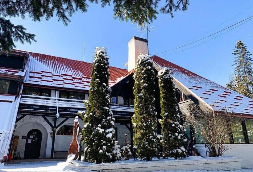Апартаменты 2 Спальни, Breza Hotel Borovets
