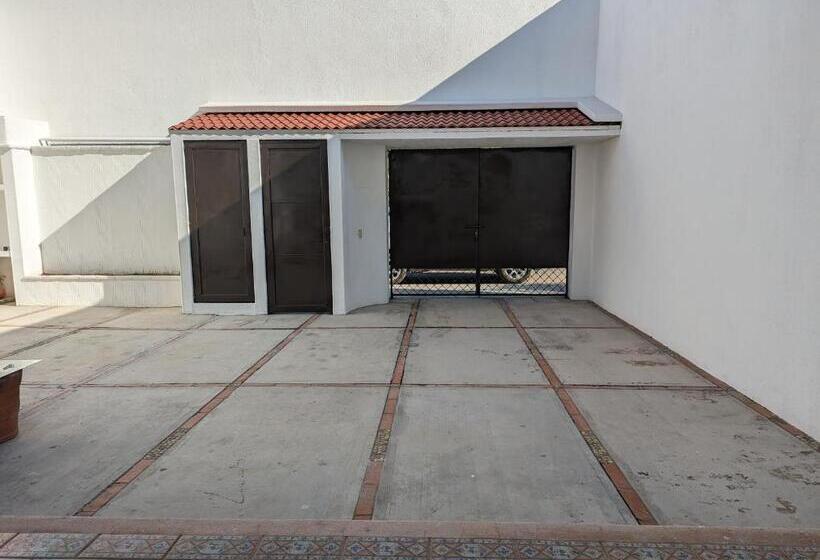 Номер Deluxe, Hostal El Pulpo   Internet Starlink