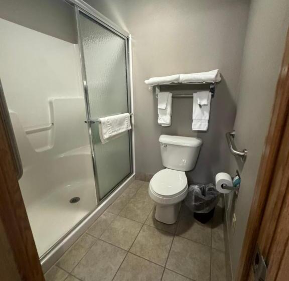 Люкс Кровать Кинг, Garner Inn & Suites
