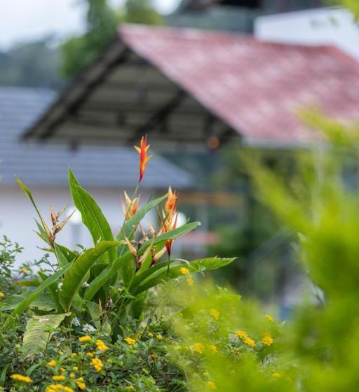 스탠다드 룸 가든 전망, Le Serene Munnar Resorts & Spa