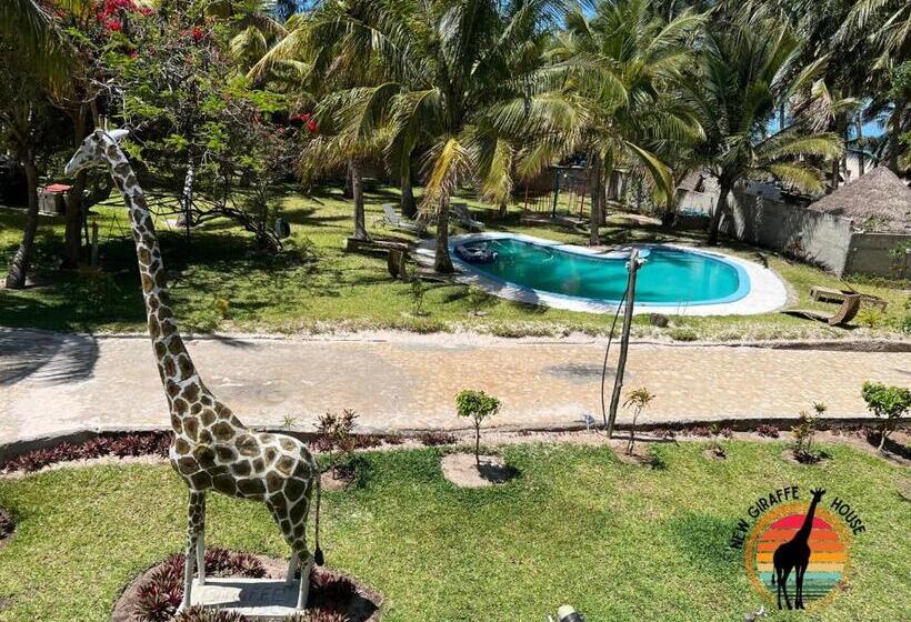 اتاق استاندارد چهار تخته, New Giraffe House