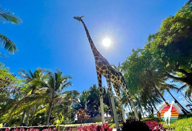 اتاق استاندارد چهار تخته, New Giraffe House
