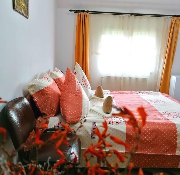 스탠다드 룸, Pensiunea Elenuca