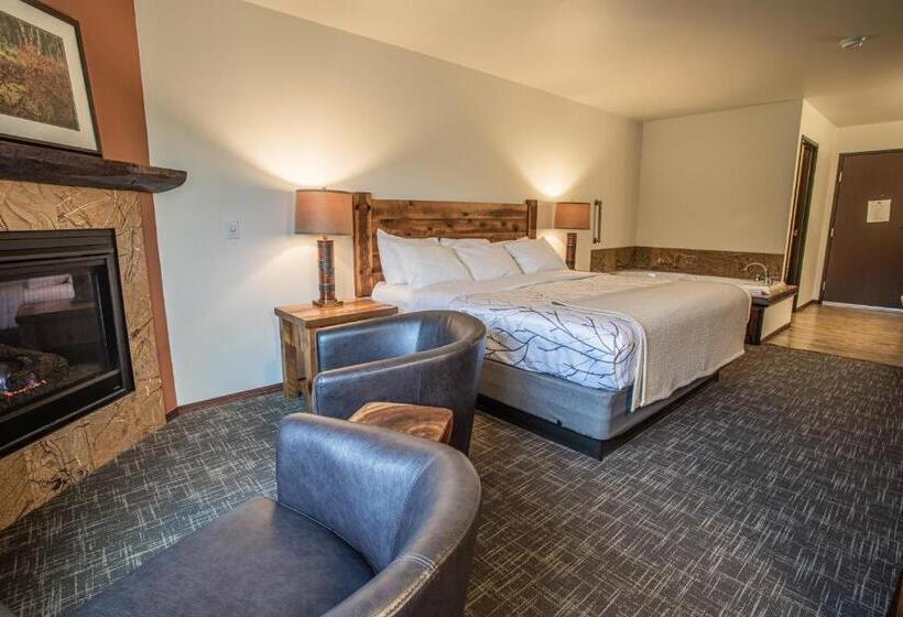 스탠다드 룸 킹사이즈 침대, Open Hearth Lodge