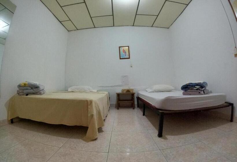 Номер Стандарт, La Casa