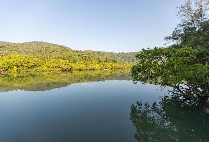 标准间带湖景, Feather Touch Hotels And Resorts Palolem
