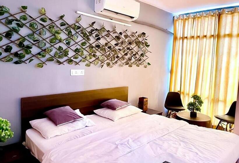 اتاق لوکس, Manya   Dlf Avenue Saket