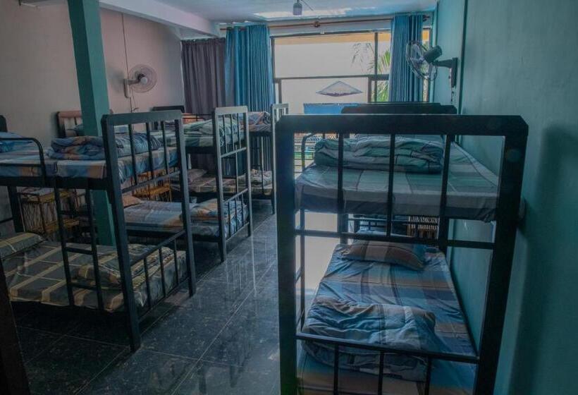 Cama em Quarto Compartilhado, Vagabonds