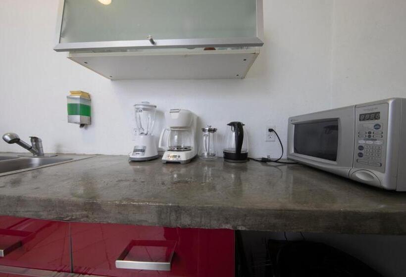 침실 1개 복층 룸, Departamentos Mi Querido Coyoacán