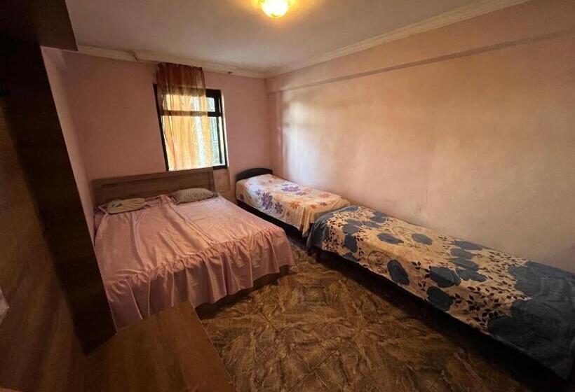 اتاق لوکس, Ok House!